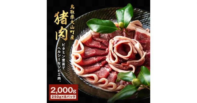 【ふるさと納税】GB-04 猪肉 2kg 250g×8パック 猪肉モモ ウデのスライス 合計2kg入 鳥取県 鳥取県産 大山町 大山 要冷凍 ジビエ肉 焼き肉 焼き肉用 料理 生肉 パック 詰め合わせ ウデ モモ肉 スライス ジビエ イノシシ肉 いのしし 高級 返礼品 鳥取 肉料理