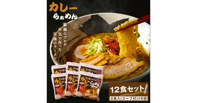 【ふるさと納税】MK-02　だいせん麺工房のこだわりラーメン（カレー味）カレーラーメン 12食 セット 特性麺 しょうゆベース カレースパイス カレースープ 鳥取県 鳥取県産 大山町 大山 お土産 返礼品 国産 お取り寄せ ご当地