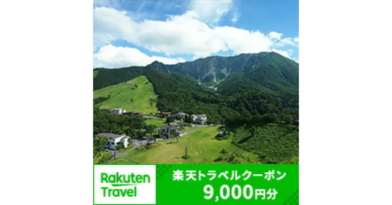 【ふるさと納税】鳥取県大山町の対象施設で使える楽天トラベルクーポン 寄付額30,000円　　トラベル 旅行 家族 友達 クーポン 鳥取県 鳥取 大山町 大山 返礼品 ご当地