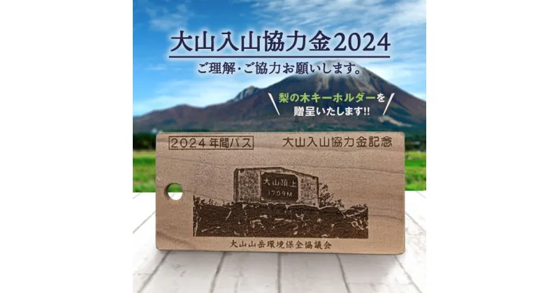 【ふるさと納税】大山入山協力金（定額支払・2024シーズン）Da-01 山 山岳 環境 維持 寄付 寄付金 鳥取県 鳥取県産 大山町 大山 お土産 返礼品 国産 お取り寄せ ご当地