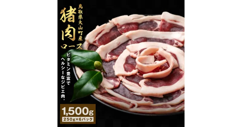 【ふるさと納税】GB-11　猪肉　ロース　1.5kg（250g×6パック）　猪肉 肉 お肉 スライス 鳥取県 鳥取県産 大山町 大山 お土産 返礼品 国産 お取り寄せ ご当地