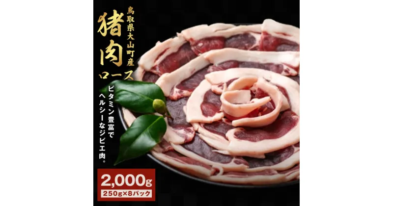 【ふるさと納税】GB-12　猪肉　ロース　2kg（250g×8パック）　肉 お肉 猪肉 スライス 鳥取県 鳥取県産 大山町 大山 お土産 返礼品 国産 お取り寄せ ご当地