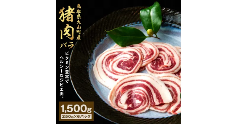 【ふるさと納税】GB-07　猪肉　バラ　1.5kg（250g×6パック） ジビエ 肉 お肉 鳥取県 鳥取県産 大山町 大山 お土産 返礼品 国産 お取り寄せ ご当地