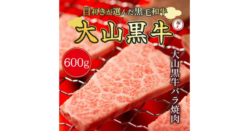 【ふるさと納税】HA-05　大山黒牛バラ焼肉　600g　黒毛和牛 和牛 牛 旨み 冷凍 鳥取県 鳥取県産 大山町 大山 大山産お土産 返礼品 国産 高級 高級品 お取り寄せ ご当地