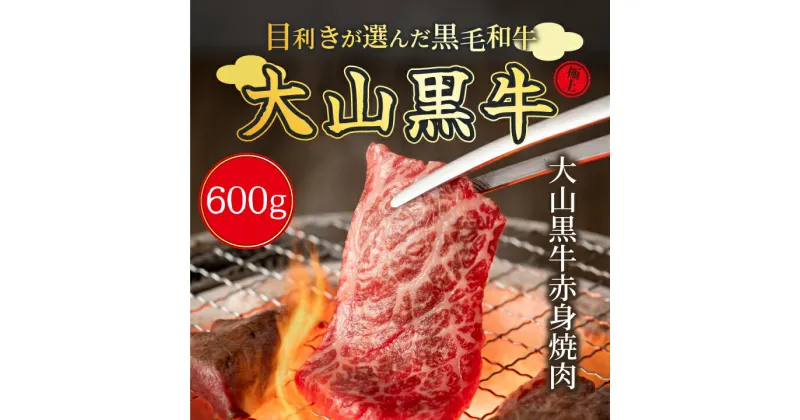 【ふるさと納税】HA-06　大山黒牛赤身焼肉　600g　黒毛和牛 和牛 牛 旨み 冷凍 鳥取県 鳥取県産 大山町 大山 大山産お土産 返礼品 国産 高級 高級品 お取り寄せ ご当地