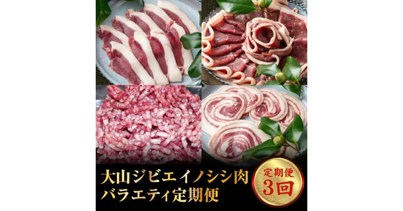 【ふるさと納税】GB-26　大山ジビエイノシシ肉バラエティ定期便（3回コース）　　ジビエ 肉 お肉 鳥取県 鳥取県産 大山町 大山 お土産 返礼品 国産 お取り寄せ ご当地