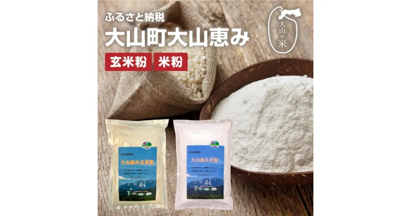 【ふるさと納税】MR-02　大山恵み米粉・玄米米粉 セット（500g×2） 米粉 米 製菓用 料理用 業務用 家庭用 鳥取県 鳥取県産 大山町 大山 大入り 料理 米粉パン お菓子用 国産 お菓子作り 鳥取 上新粉 コシヒカリ こしひかり 大山米粉 大山産