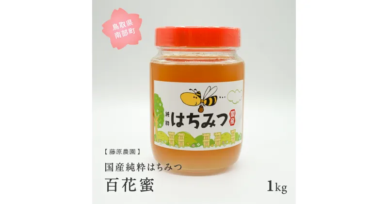 【ふるさと納税】里地・里山のめぐみ　[ハチミツ1kg(百花蜜)]　鳥取県産純粋ハチミツ はちみつ 蜂蜜 ハチミツ 国産 鳥取県南部町