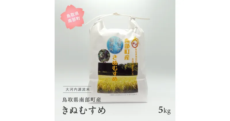 【ふるさと納税】南部町産 大河内源流米きぬむすめ5kg 令和6年産 新米 早期予約 米 お米 おこめ キヌムスメ 鳥取県南部町