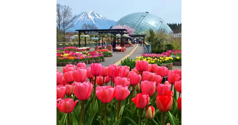 【ふるさと納税】とっとり花回廊ギフト入園券2枚 鳥取県南部町