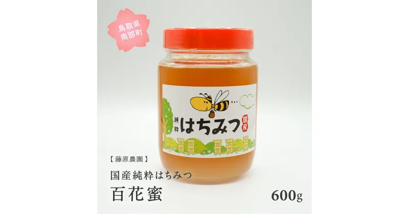 【ふるさと納税】里地・里山のめぐみ　[ハチミツ600g(百花蜜)]　鳥取県産純粋ハチミツ はちみつ 蜂蜜 ハチミツ 国産 鳥取県南部町