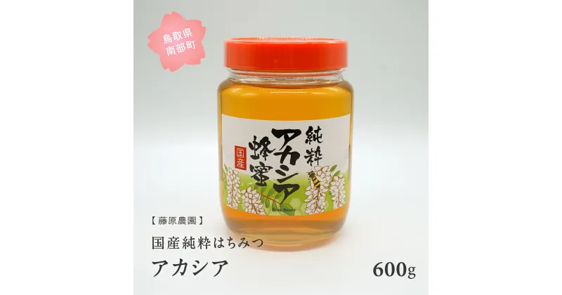 【ふるさと納税】里地・里山のめぐみ　[アカシアハチミツ600g]　鳥取県産純粋ハチミツ はちみつ 蜂蜜 ハチミツ アカシア あかしあ 国産 鳥取県南部町