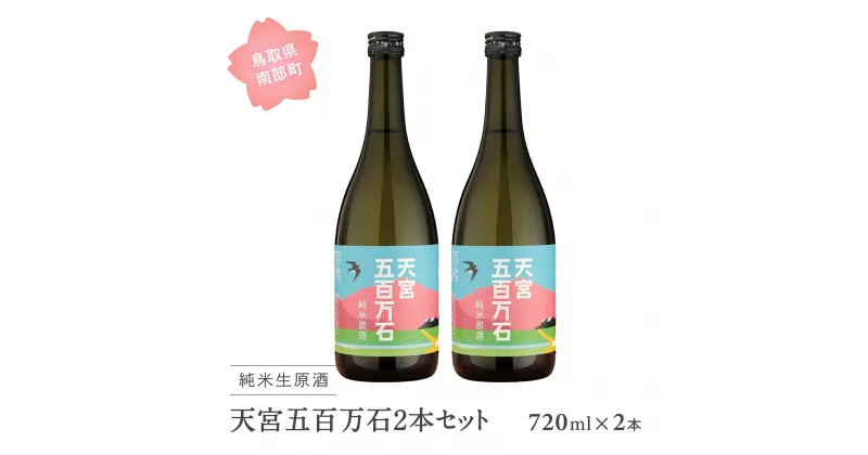 【ふるさと納税】稲田姫 天宮純米原酒2本セット 日本酒 720ml × 2本 純米原酒 お酒 酒 さけ sake 地酒 セット 稲田姫 食中酒 稲田本店 鳥取県南部町