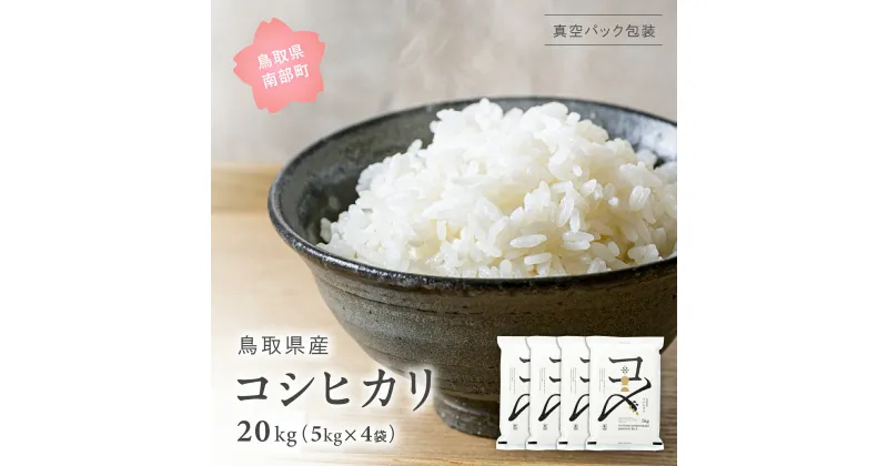 【ふるさと納税】＜新米・令和6年産＞ 真空パック包装 鳥取県産コシヒカリ 20kg (5kg×4袋) 令和6年産 米 お米 真空 Elevation 備蓄 長期保存 備蓄米 真空 真空包装 白米 精米 鳥取県南部町