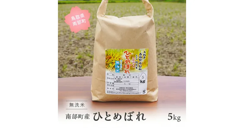 【ふるさと納税】＜令和6年産・新米＞鳥取県南部町産 無洗米 ひとめぼれ 5kg 5キロ 米 お米 おこめ こめ コメ ヒトメボレ 無洗 板谷米穀店