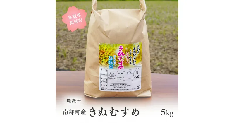 【ふるさと納税】＜令和6年産・新米＞鳥取県南部町産 無洗米 きぬむすめ 5kg 5キロ 米 お米 おこめ こめ コメ キヌムスメ 無洗 板谷米穀店