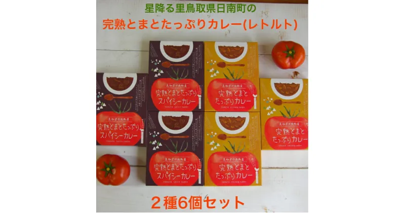 【ふるさと納税】星降る里 鳥取県日南町の完熟とまと たっぷりカレー レトルト 2種6個 セット