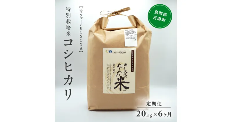 【ふるさと納税】【6カ月連続お届け】新米 令和6年産 海と天地のめぐみ米（コシヒカリ） 白米20kg