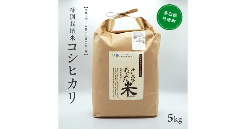 【ふるさと納税】新米 令和6年産 海と天地のめぐみ米(コシヒカリ)白米 5kg