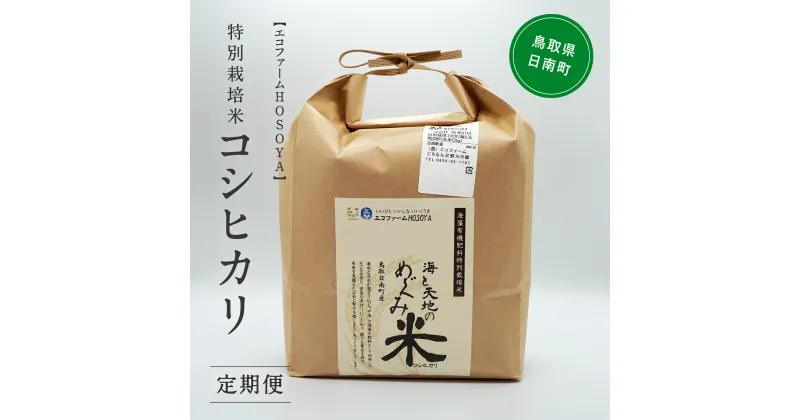 【ふるさと納税】【12カ月連続お届け】新米 令和6年産 海と天地のめぐみ米（コシヒカリ） 白米20kg