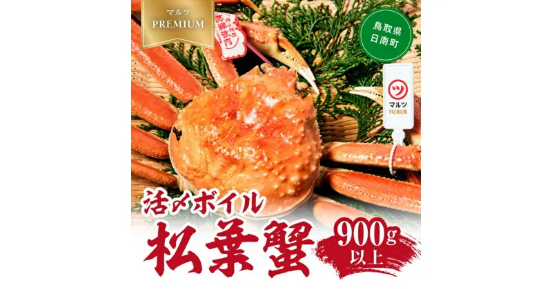 【ふるさと納税】【早期先行予約】【マルツPREMIUM】タグ付き 活〆ボイル松葉蟹 900g以上 松葉ガニ 松葉がに 蟹 カニ かに 境港 マルツ 鳥取県日南町