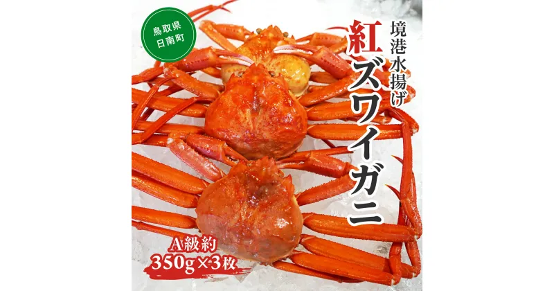 【ふるさと納税】【早期先行予約】境港水揚げ 紅ずわいがに（A級約350g×3枚）OM-10 ベニズワイガニ 紅ズワイガニ ずわいがに ズワイガニ ボイル ボイルベニズワイガニ ずわい蟹 かに 蟹 カニ 鳥取県境港 御来屋漁港 みくりや漁港