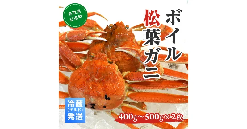 【ふるさと納税】【早期先行予約】ボイル松葉ガニ（400g～500gを2枚）冷蔵発送 OM-19-1 松葉ガニ 松葉がに かに 蟹 カニ 鳥取県境港 御来屋漁港 みくりや漁港