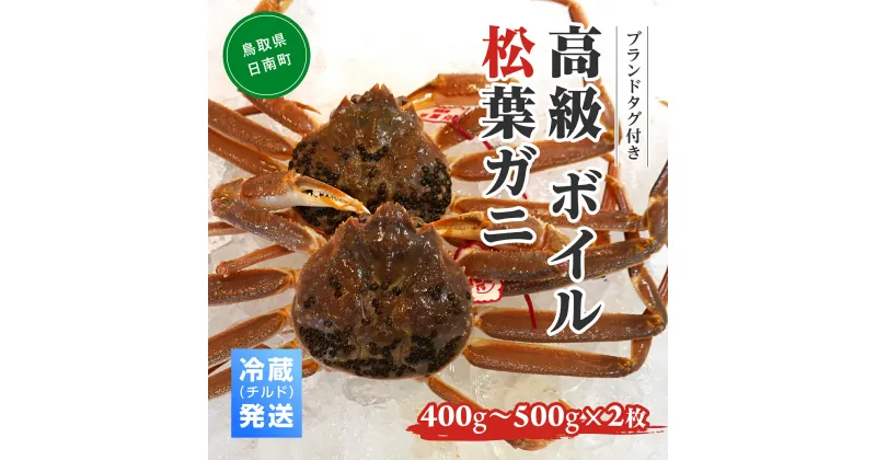 【ふるさと納税】【早期先行予約】ブランドタグ付高級ボイル松葉ガニ（400g～500gを2枚）OM-23 冷蔵発送 タグ付き 高級 松葉ガニ 松葉がに かに 蟹 カニ 鳥取県境港 御来屋漁港 みくりや漁港