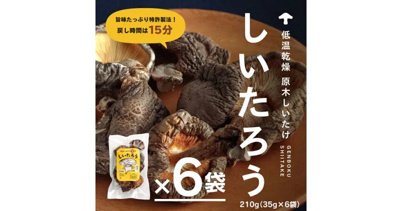 【ふるさと納税】こだわりの原木乾燥シイタケ「しいたろう」 210g（35g×6袋） 原木シイタケ 乾燥椎茸 乾燥しいたけ しいたけ 原木椎茸 原木しいたけ 鳥取県 日野町 鳥取県日野町 しいたつ