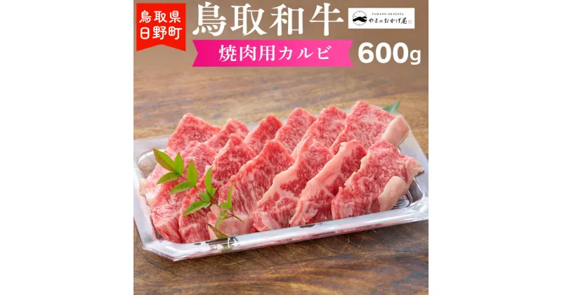 【ふるさと納税】鳥取和牛 焼肉用カルビ（600g）【やまのおかげ屋】HN020-001和牛 牛肉 肉 鳥取県日野町