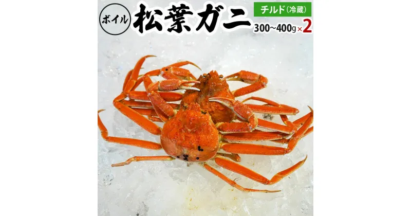 【ふるさと納税】【先行予約】ボイル松葉ガニ（300g～400gを2枚）OM-16-1 松葉ガニ 松葉がに かに 蟹 カニ 鳥取県境港 御来屋漁港