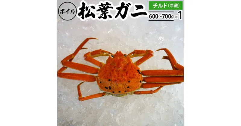 【ふるさと納税】【先行予約】ボイル松葉ガニ（600g～700gを1枚）OM-18 松葉ガニ 松葉がに かに 蟹 カニ 鳥取県境港 御来屋漁港