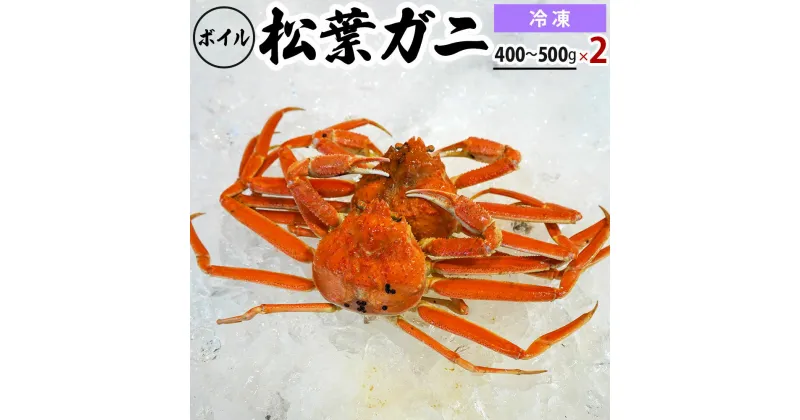 【ふるさと納税】【先行予約】【冷凍】ボイル松葉ガニ（400g～500gを2枚）OM-20 松葉ガニ 松葉がに かに 蟹 カニ 鳥取県境港 御来屋漁港