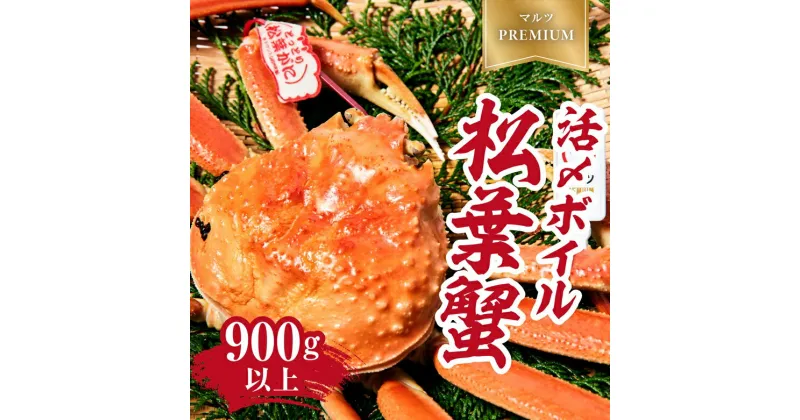 【ふるさと納税】【早期先行予約】【マルツPREMIUM】タグ付き 活〆ボイル松葉蟹 900g以上 松葉ガニ 松葉がに 蟹 カニ かに 境港 マルツ 鳥取県日野町