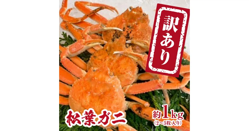 【ふるさと納税】【チルドでお届け】境港水揚げ 訳あり松葉ガニ 1kg(2～3 枚入り) 魚々魚厳選 松葉がに 松葉蟹 鳥取県日野町