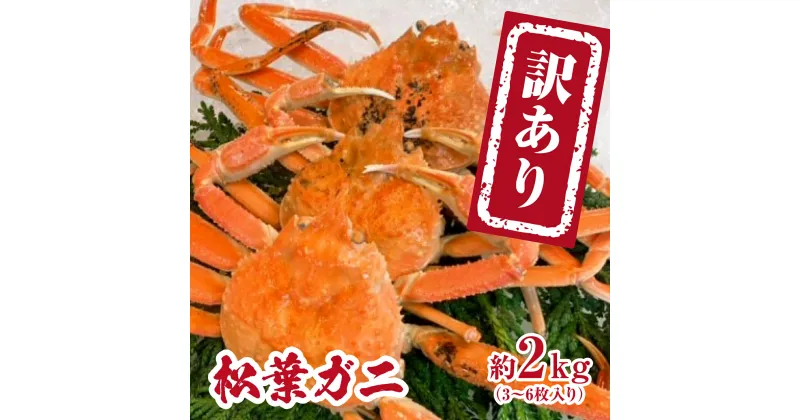 【ふるさと納税】【チルドでお届け】境港水揚げ 訳あり松葉ガニ 2kg(3～6 枚入り) 魚々魚厳選 松葉がに 松葉蟹 鳥取県日野町