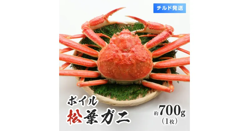 【ふるさと納税】【離島発送不可】【チルド発送】ボイル松葉ガニ 1枚約700g 整体 美保水産 松葉ガニ 松葉がに かに 蟹 カニ 鳥取県境港