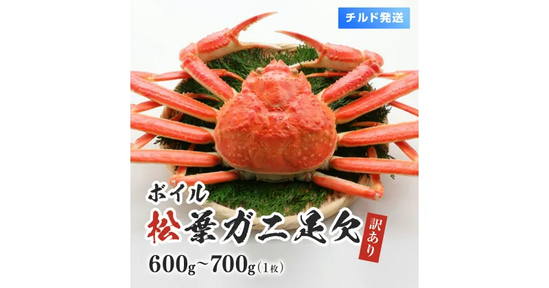 【ふるさと納税】【チルド発送】訳あり ボイル松葉ガニ 1枚600～700g 脚1本折れ 美保水産 松葉ガニ 松葉がに かに 蟹 カニ 鳥取県境港