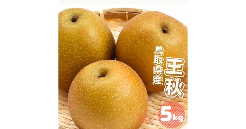 【ふるさと納税】王秋 梨 5kg 5~16玉前後 鳥取県産 先行予約受付 2024年秋冬収穫分 なし5キロ TM34 0690