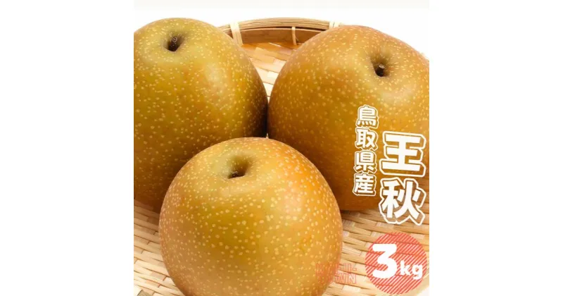 【ふるさと納税】王秋 梨 3kg 3~8玉前後 鳥取県産 先行予約受付 2024年秋冬収穫分 なし 3キロ TM46 0697