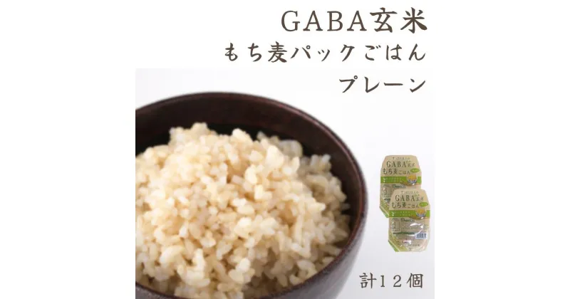 【ふるさと納税】GABA玄米もち麦パックごはん プレーン（12パック入り）きぬむすめ JA鳥取西部 アスパル 0937