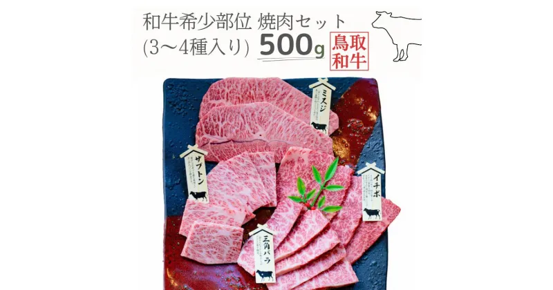 【ふるさと納税】鳥取和牛希少部位焼肉セット 計500g 3～4種 鳥取県産 ご当地ファーム大山望 MK1 0992