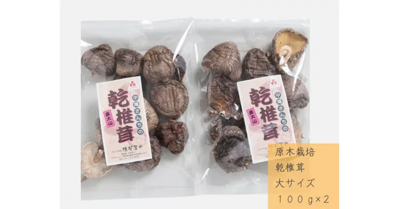 【ふるさと納税】中尾さんちの乾椎茸 大 100g 2袋 原木栽培 大きいサイズ 干しシイタケ / SAC中尾 椎茸屋 0799