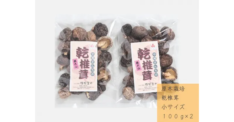 【ふるさと納税】中尾さんちの乾椎茸 小 100g 2袋 原木栽培 干しシイタケ / SAC中尾 椎茸屋 0797