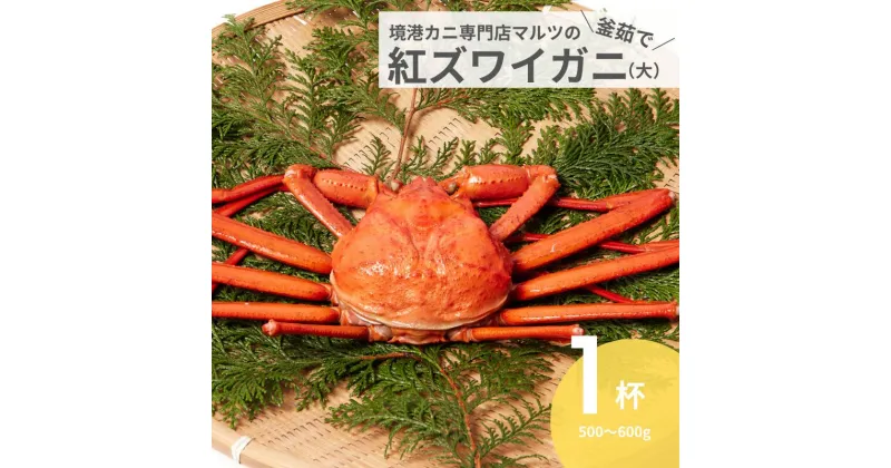 【ふるさと納税】蟹屋の釜茹で紅ずわいがに(大) 1枚 500～600g カニ専門店マルツ 先行受付 M1 1026