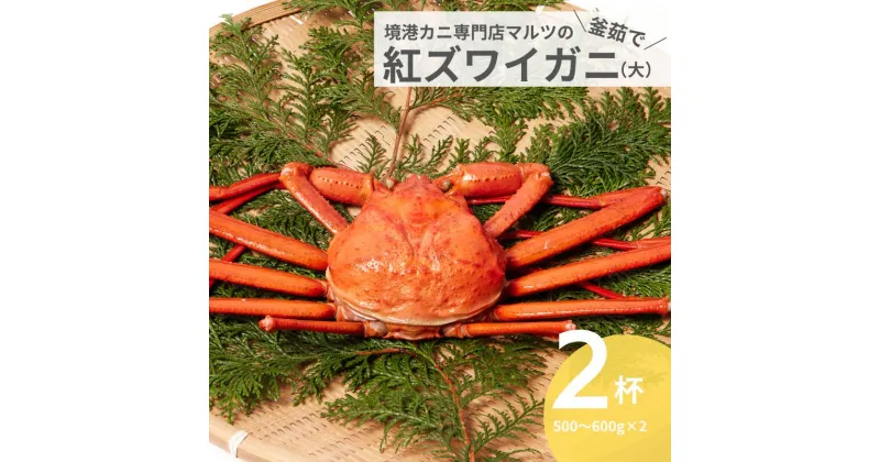 【ふるさと納税】蟹屋の釜茹で紅ずわいがに2枚セット（大） カニ専門店マルツ 先行受付 M2 1027