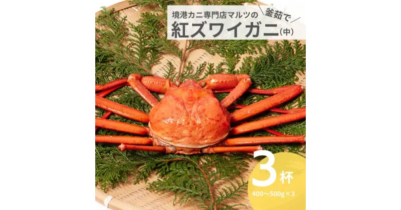 【ふるさと納税】蟹屋の釜茹で紅ずわいがに 3枚セット(中) カニ専門店マルツ 先行受付 M3 1028