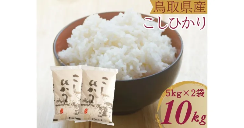 【ふるさと納税】米 こしひかり5kg×2 計10キロ 鳥取県産 こめ 精米 コシヒカリ 令和6年産 送料無料 1053