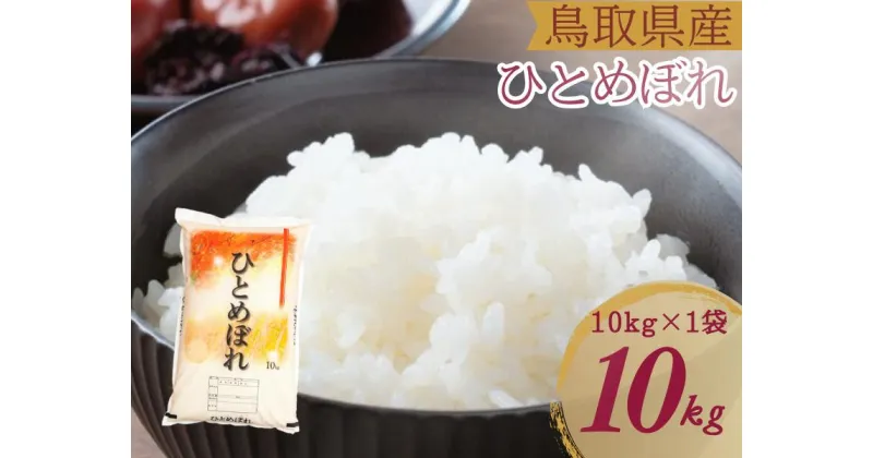 【ふるさと納税】米 ひとめぼれ 10kg 鳥取県産 こめ 精米 10キロ 令和6年産 送料無料 1054