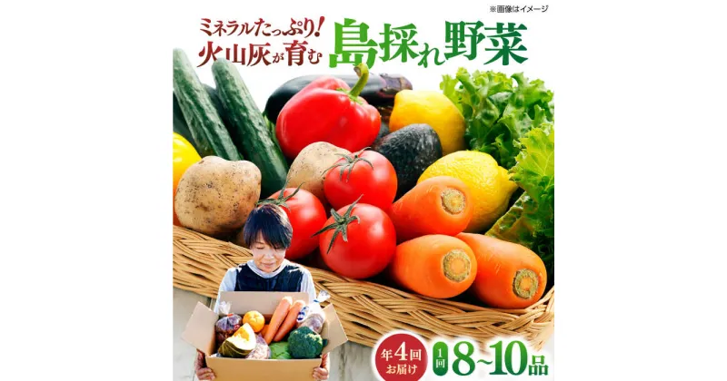 【ふるさと納税】【全4回定期便】新鮮！島採れ野菜 8〜10品 島根県松江市/株式会社ふぁーむ大根島[ALCB001]